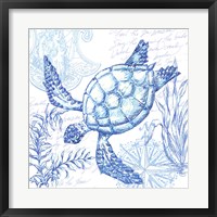 Framed Coastal Sketchbook Turtle