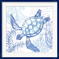 Framed Coastal Sketchbook Turtle