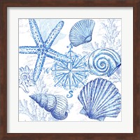 Framed Coastal Sketchbook Shell Toss