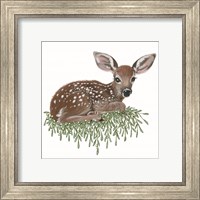 Framed 'Fawn' border=