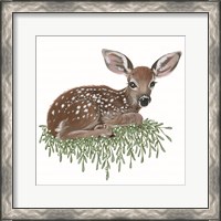 Framed Fawn