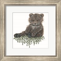 Framed 'Baby Bear' border=