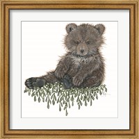 Framed Baby Bear