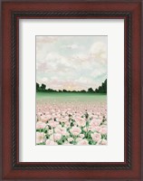 Framed Pink Poppies