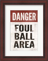 Framed Foul Ball Area