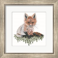 Framed 'Baby Fox' border=