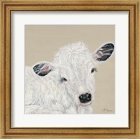 Framed White Calf