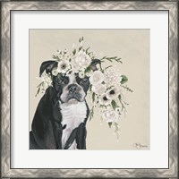 Framed Dog and Flower