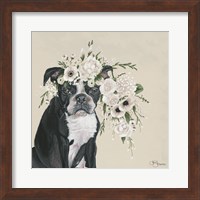 Framed Dog and Flower