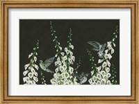 Framed Hummingbirds
