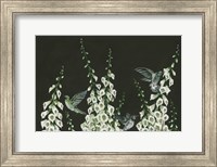 Framed Hummingbirds