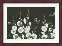 Framed Bees