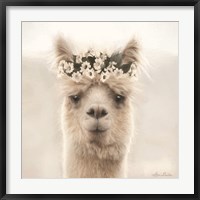 Framed Alpaca with Flowers