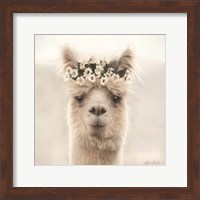 Framed Alpaca with Flowers