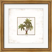 Framed Palm Trees