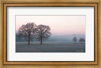 Framed Sheep on a Cold Morning
