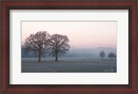 Framed Sheep on a Cold Morning