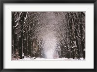 Framed Winter Tunnel