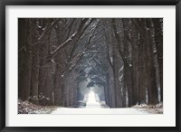 Framed Cold Road