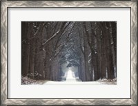 Framed Cold Road