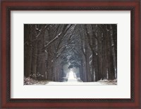 Framed Cold Road