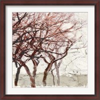 Framed Rusty Trees I