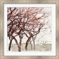 Framed 'Rusty Trees I' border=