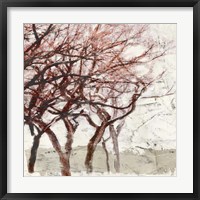 Rusty Trees I Framed Print
