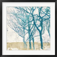 Framed Turquoise Trees II
