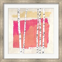Framed Abstract Nature I