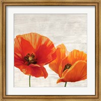 Framed Bright Poppies I