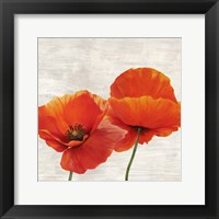 Framed Bright Poppies II