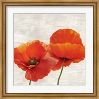 Framed Bright Poppies II