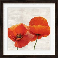 Framed 'Bright Poppies II' border=