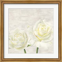 Framed Classic Roses I