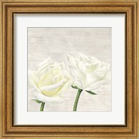 Framed Classic Roses II
