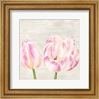 Framed Classic Tulips I