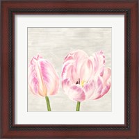 Framed Classic Tulips I