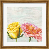 Framed Funky Roses I