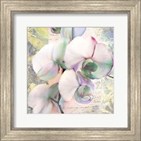 Framed Kaleidoscope Orchid (detail)