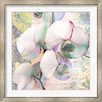 Framed Kaleidoscope Orchid (detail)