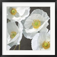 Framed Poppies on Chalkboard I