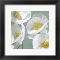 Framed 'Poppies on Mint I' border=