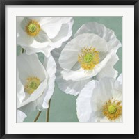 Poppies on Mint I Framed Print