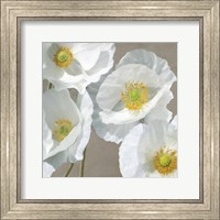 Framed Poppies on Taupe I