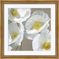 Framed Poppies on Taupe I