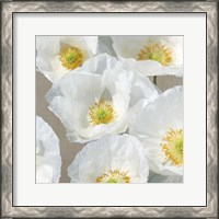 Framed 'Poppies on Taupe II' border=