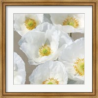 Framed Poppies on Taupe II