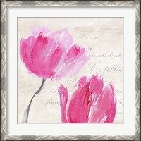 Framed 'Classic Tulips II' border=