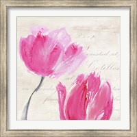 Framed 'Classic Tulips II' border=